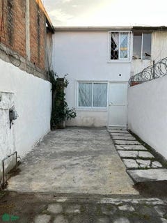 /international/mx/paloma-tortola-3-toluca-de-lerdo-centro-toluca-mexico-toluca-de-lerdo-mexico-city-310107915748/