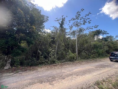 /international/mx/km-26-ruta-de-los-cenotes-puerto-morelos-quintana-roo-310108793731/