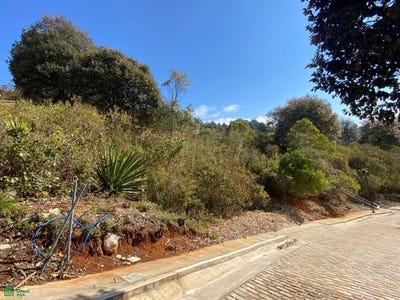 /international/mx/carretera-tuxtla-gutierrez-san-cristobal-km-38-s-n-zacualpan-de-ecatepec-san-cristobal-de-las-casas-chiapas-san-cristobal-de-las-casas-chiapas-310106110469/