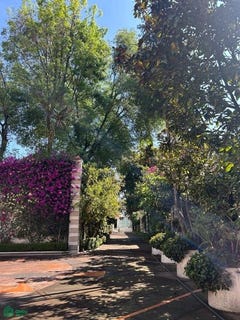 /international/mx/lluvia-412-jardines-del-pedregal-alvaro-obregon-ciudad-de-mexico-ciudad-de-mexico-mexico-city-310107067034/