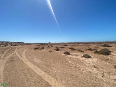 /international/mx/ejido-miramar-sn-miramar-puerto-penasco-sonora-83554-sonora-310101334386/