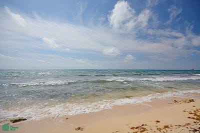 /international/mx/lote-punta-brava-0-puerto-morelos-puerto-morelos-quintana-roo-puerto-morelos-quintana-roo-310103748982/