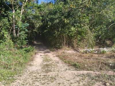 /international/mx/carretera-bacalar-xtomoc-fracion-11-bacalar-quintana-roo-310108285120/