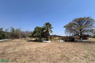 /international/mx/rancho-san-ignacio-tetecala-tetecala-morelos-tetecala-morelos-310106184775/