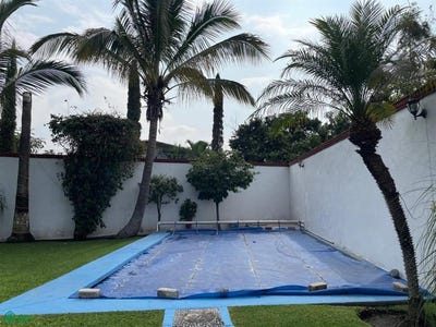 /international/mx/calle-azares-s-n-otilio-montano-cuautla-morelos-cuautla-morelos-310107947359/