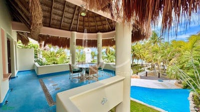 /international/mx/flamingos-39-cancun-quintana-roo-310108592732/