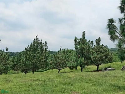 /international/mx/cisnes-manzana-04-041-04-061-lote-21-san-rafael-cuauhtemoc-colima-cuauhtemoc-colima-310107589758/