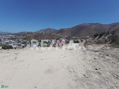 /international/mx/ave-paseo-del-bosque-25275-villa-residencial-del-bosque-tijuana-baja-california-tijuana-baja-california-310108288243/