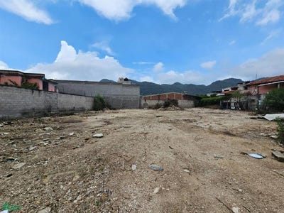 /international/mx/nino-perdido-s-n-el-relicario-san-cristobal-de-las-casas-chiapas-san-cristobal-de-las-casas-chiapas-310108811161/?lang=it