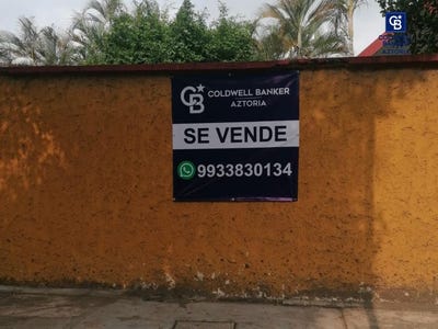 /international/mx/ave-los-rios-centro-tabasco-310107911685/