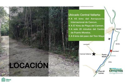 /international/mx/central-vallarta-sm-45-mz-140-l-1-02-3-puerto-morelos-puerto-morelos-quintana-roo-puerto-morelos-quintana-roo-310093231035/