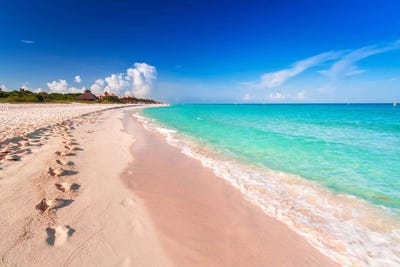 /international/mx/222-calle-carr-federal-playa-del-carmen-quintana-roo-310101108624/