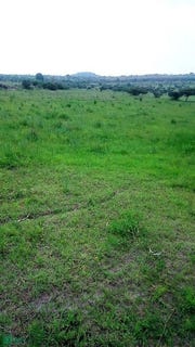 /international/mx/prolongacion-francisco-villa-sn-sn-la-venta-sur-coroneo-guanajuato-guanajuato-310101181693/?lang=zh-tw