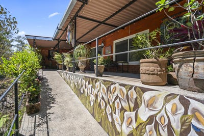 /international/mx/3-prol-ceiba-sierra-madre-jalisco-jalisco-310106137063/