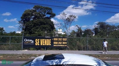 /international/mx/blvd-luis-donaldo-colosio-a-un-lado-de-la-fonda-argentina-cancun-centro-benito-juarez-quintana-roo-cancun-quintana-roo-310105829189/