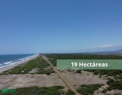 /international/mx/avenida-luis-donaldo-colosio-37-rosario-centro-el-rosario-sinaloa-82800-sinaloa-310108986855/