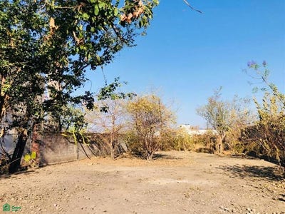 /international/mx/plateros-s-n-residencial-lomas-de-jiutepec-jiutepec-morelos-jiutepec-morelos-310107647360/