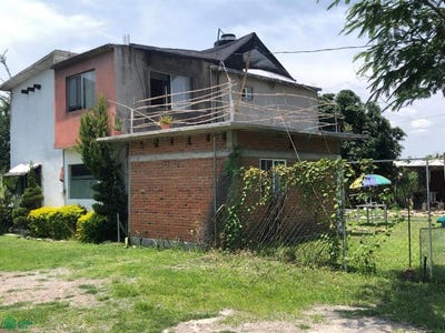 /international/mx/quinta-de-los-mangos-12-el-ahuehuete-tlayacapan-morelos-tlayacapan-morelos-310108622963/