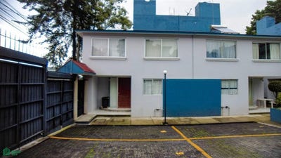 /international/mx/11126-av-tetiz-468-int-1-pedregal-de-san-nicolas-4a-seccion-tlalpan-ciudad-de-mexico-ciudad-de-mexico-mexico-city-310101566676/