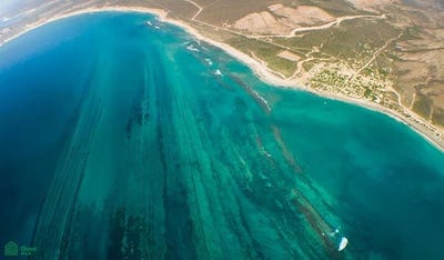 /international/mx/nuevo-san-juan-sn-cabo-pulmo-los-cabos-baja-california-sur-los-cabos-baja-california-sur-310102130565/