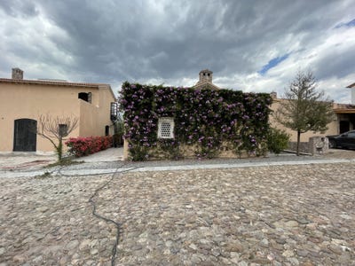 /international/mx/8-dolores-hidalgo-san-miguel-de-allende-dolores-hidalgo-guanajuato-310106402253/