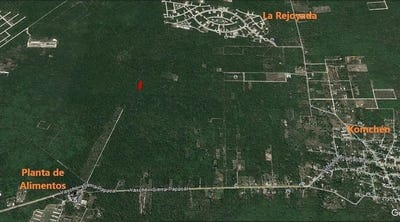 /international/mx/unnamed-road-la-rejoyada-yucatan-310108284705/