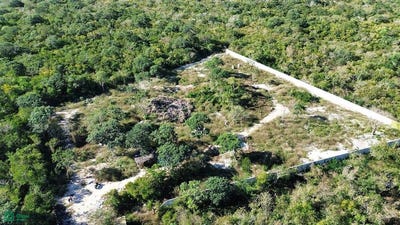 /international/mx/xcunya-s-n-xcunya-merida-yucatan-merida-yucatan-310104006753/