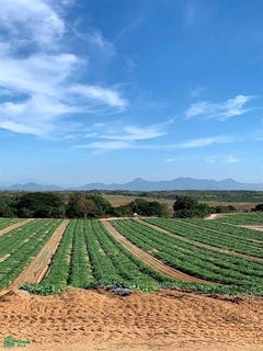 /international/mx/carretera-federal-s-n-el-cortijo-santa-maria-cortijo-oaxaca-71655-oaxaca-310101018815/?lang=zh-tw
