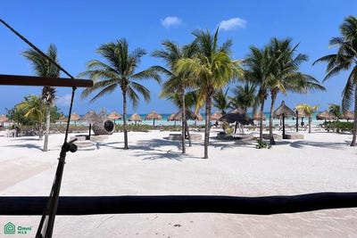 /international/mx/0-lazaro-cardenas-quintana-roo-lazaro-cardenas-quintana-roo-310108311000/