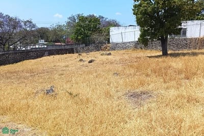 /international/mx/calle-estacion-vieja-0-fraccionamiento-la-josefina-oaxtepec-morelos-62738-morelos-310108309845/