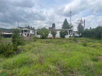 /international/mx/carretera-a-temascaltepec-sin-numero-cuadrilla-de-dolores-valle-de-bravo-mexico-valle-de-bravo-mexico-city-310100707709/?lang=zh-cn