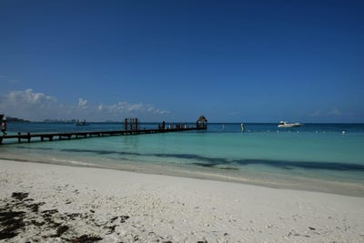 /international/mx/39-flamingos-cancun-quintana-roo-310108600588/