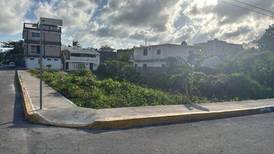 /international/mx/c-ignacio-lopez-rayon-256-smz-18-77580-puerto-morelos-q-r-mexico-puerto-morelos-quintana-roo-310108366818/