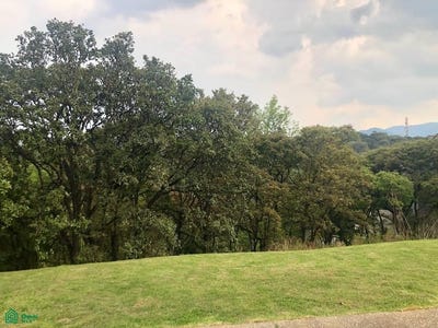/international/mx/av-de-los-poetas-tepozcuautla-100-a-tf-12-y-13-santa-fe-cuajimalpa-cuajimalpa-de-morelos-ciudad-de-mexico-ciudad-de-mexico-mexico-city-310096619898/