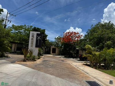 /international/mx/35-sn-san-ignacio-progreso-yucatan-progreso-yucatan-310100991699/?lang=it