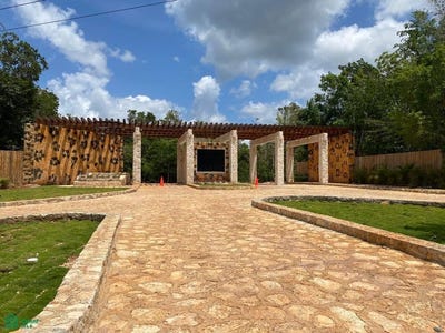 /international/mx/cenote-habitat-ruta-de-los-cenotes-1-leona-vicario-puerto-morelos-quintana-roo-puerto-morelos-quintana-roo-310108327304/