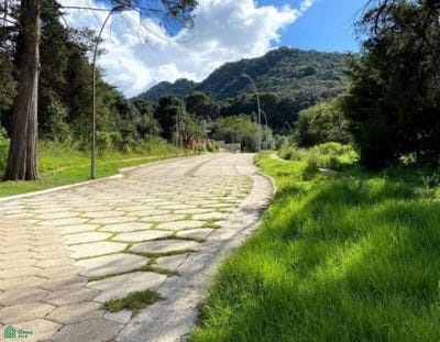 /international/mx/carr-a-san-juan-chamula-200-la-quinta-san-martin-cumbres-huitepec-lote-3-la-quinta-san-martin-san-cristobal-de-las-casas-chiapas-san-cristobal-de-las-casas-chiapas-310102090893/