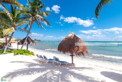 /international/mx/caminos-de-acceso-a-yalku-tulum-quintana-roo-310106041638/