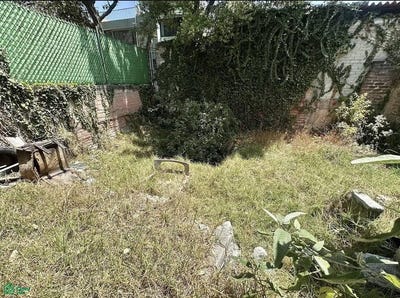 /international/mx/hopelchen-398-heroes-de-padierna-tlalpan-ciudad-de-mexico-ciudad-de-mexico-mexico-city-310107916627/