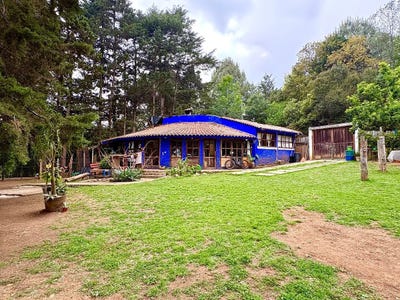 /international/mx/cerrada-jovel-los-alcanfores-chiapas-310108307897/