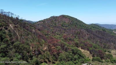 /international/mx/10-sendero-nogalito-sierra-madre-jalisco-jalisco-310108215241/