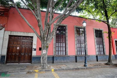 /international/mx/avenida-francisco-sosa-63-del-carmen-venustiano-carranza-ciudad-de-mexico-venustiano-carranza-michoacan-310108313112/
