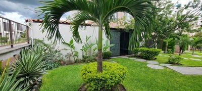 /international/mx/blvd-pena-la-viesca-14-baza-72-real-santa-fe-morelos-310108284933/