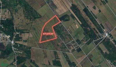 /international/mx/carretera-antigua-cardenas-a-comalcalco-santa-rosalia-s-n-santa-rosalia-cardenas-tabasco-cardenas-tabasco-310108215266/