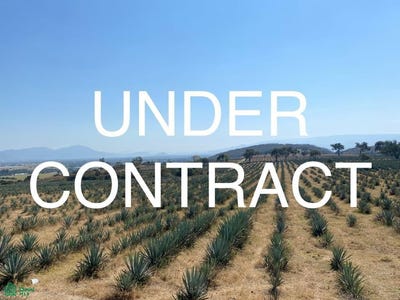/international/mx/rinconada-de-los-tulipanes-384-villa-corona-centro-villa-corona-jalisco-villa-corona-jalisco-310107472491/