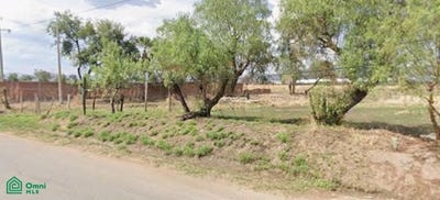 /international/mx/carretera-el-coesillo-predio-rustico-la-gloria-s-n-coecillo-silao-de-la-victoria-guanajuato-silao-de-la-victoria-guanajuato-310102808684/