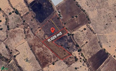 /international/mx/carretera-acatlan-de-juarez-sahuayo-morelos-0-san-pedro-tesistan-jocotepec-jalisco-jocotepec-jalisco-310108917271/?lang=de