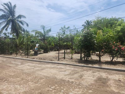 /international/mx/s-n-ricardo-flores-magon-riviera-nayarit-nayarit-310107473391/