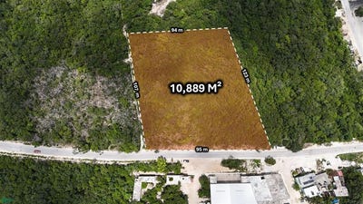 /international/mx/calle-2-norte-tulum-quintana-roo-310105209724/