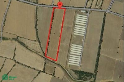/international/mx/calle-flaviano-ramos-sur-2-tlajomulco-de-ziga-centro-tlajomulco-de-ziga-jalisco-tlajomulco-de-zuniga-jalisco-310108661406/